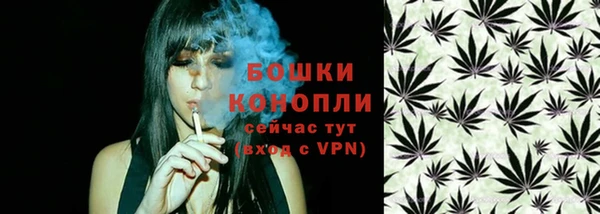 дмт Белокуриха