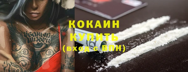 дмт Белокуриха